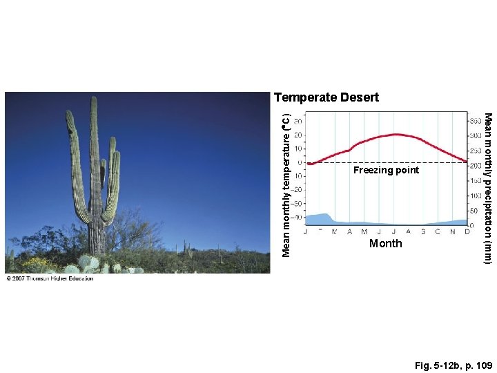 Freezing point Month Mean monthly precipitation (mm) Mean monthly temperature ( C) Temperate Desert