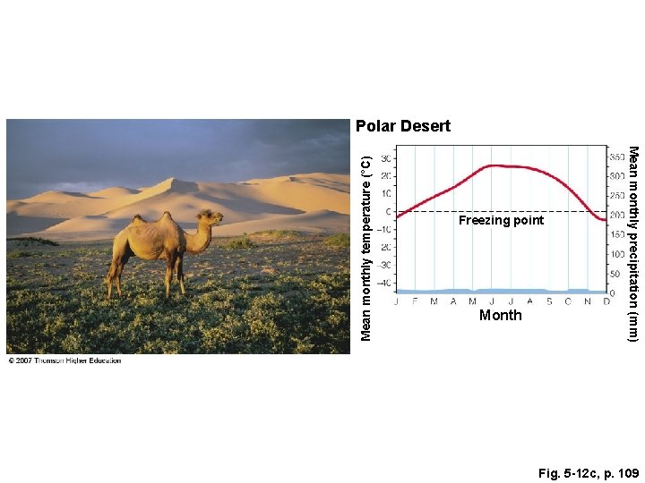 Freezing point Month Mean monthly precipitation (mm) Mean monthly temperature (°C) Polar Desert Fig.