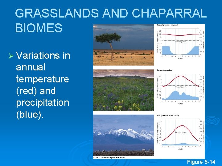 GRASSLANDS AND CHAPARRAL BIOMES Ø Variations in annual temperature (red) and precipitation (blue). Figure