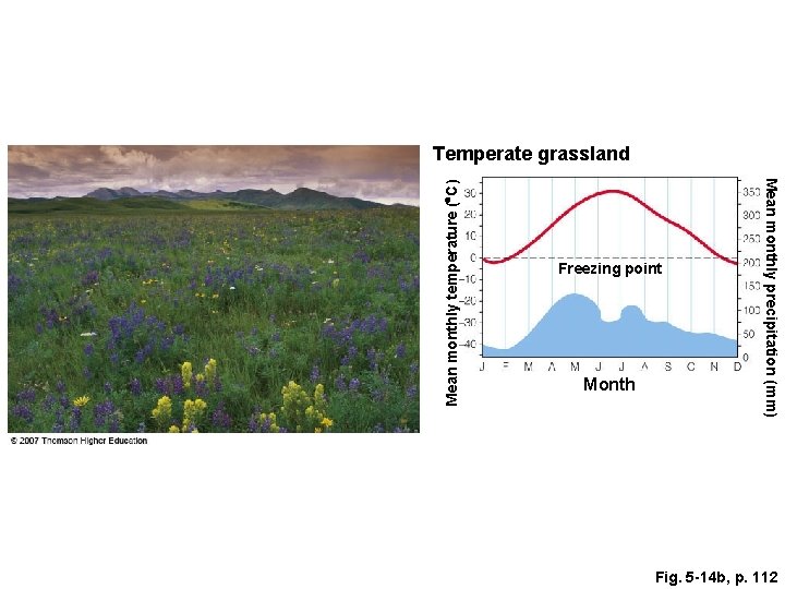 Freezing point Month Mean monthly precipitation (mm) Mean monthly temperature ( C) Temperate grassland