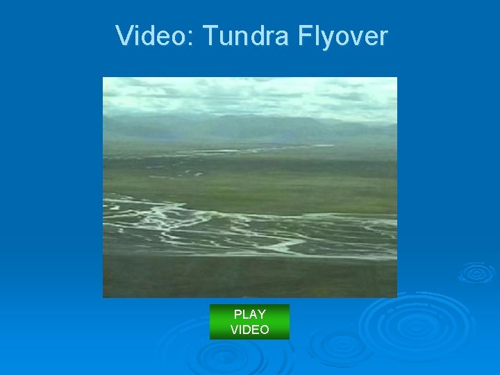 Video: Tundra Flyover PLAY VIDEO 