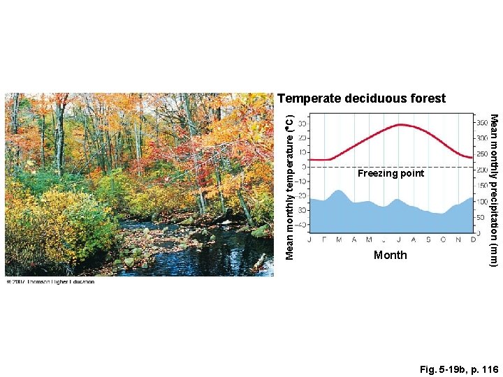 Freezing point Month Mean monthly precipitation (mm) Mean monthly temperature ( C) Temperate deciduous