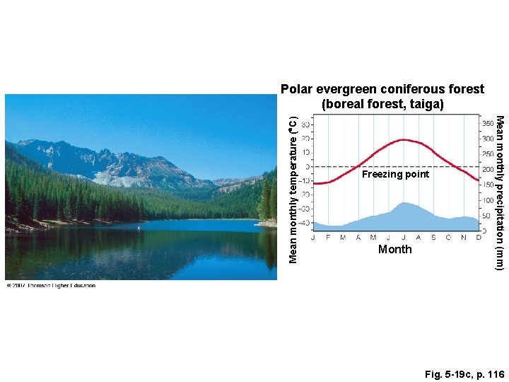 Freezing point Month Mean monthly precipitation (mm) Mean monthly temperature ( C) Polar evergreen