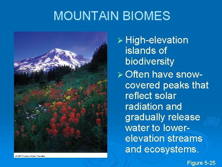 MOUNTAIN BIOMES Ø High-elevation islands of biodiversity Ø Often have snowcovered peaks that reflect