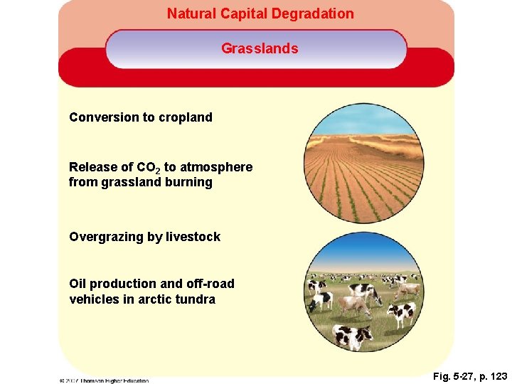 Natural Capital Degradation Grasslands Conversion to cropland Release of CO 2 to atmosphere from