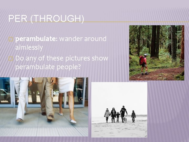 PER (THROUGH) perambulate: wander around aimlessly � Do any of these pictures show perambulate