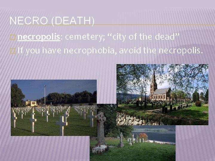 NECRO (DEATH) � necropolis: cemetery; “city of the dead” � If you have necrophobia,