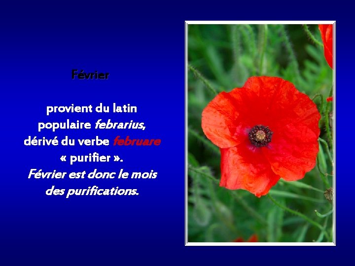 Février provient du latin populaire febrarius, dérivé du verbe februare « purifier » .