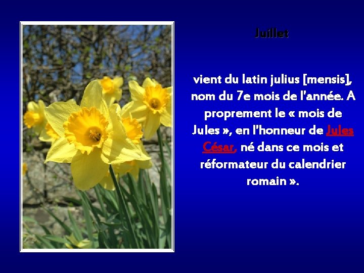 Juillet vient du latin julius [mensis], nom du 7 e mois de l'année. A