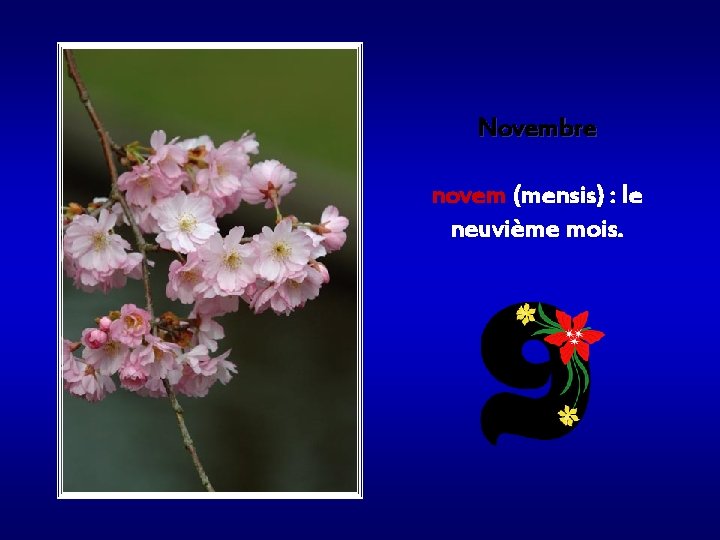 Novembre novem (mensis) : le neuvième mois. 