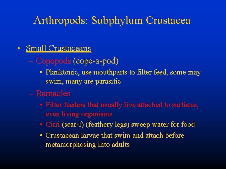 Arthropods: Subphylum Crustacea • Small Crustaceans – Copepods (cope-a-pod) • Planktonic, use mouthparts to