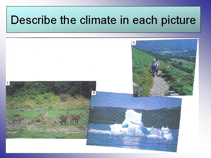 Describe the climate in each picture 