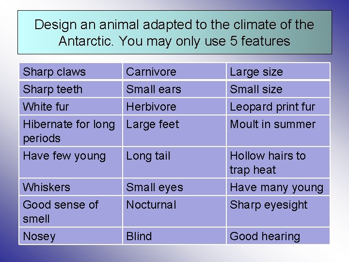 Design an animal adapted to the climate of the Antarctic. You may only use