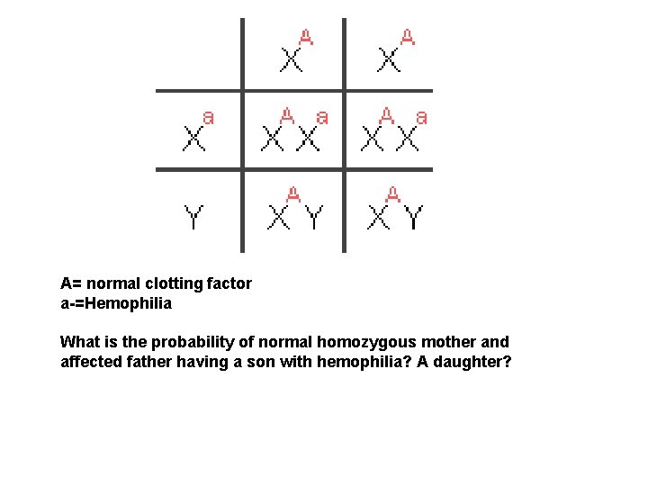 A= normal clotting factor a-=Hemophilia What is the probability of normal homozygous mother and