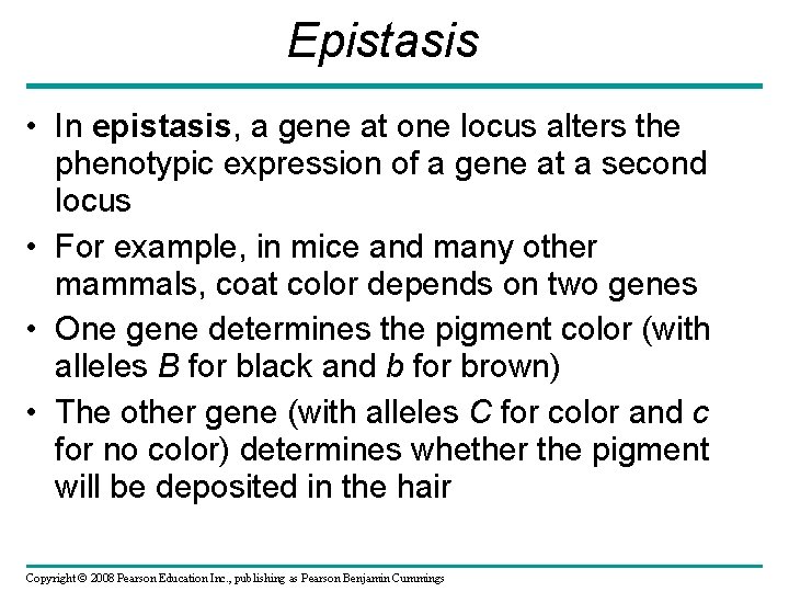 Epistasis • In epistasis, a gene at one locus alters the phenotypic expression of