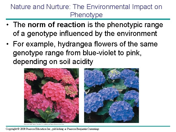 Nature and Nurture: The Environmental Impact on Phenotype • The norm of reaction is