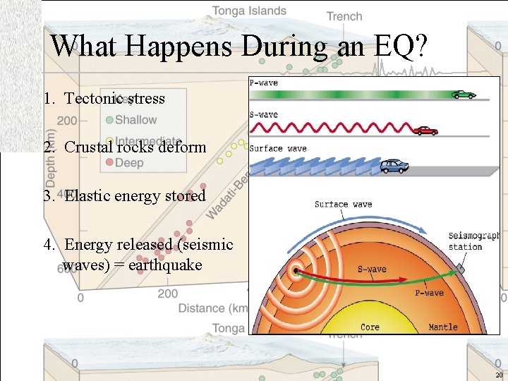 What Happens During an EQ? 1. Tectonic stress 2. Crustal rocks deform 3. Elastic