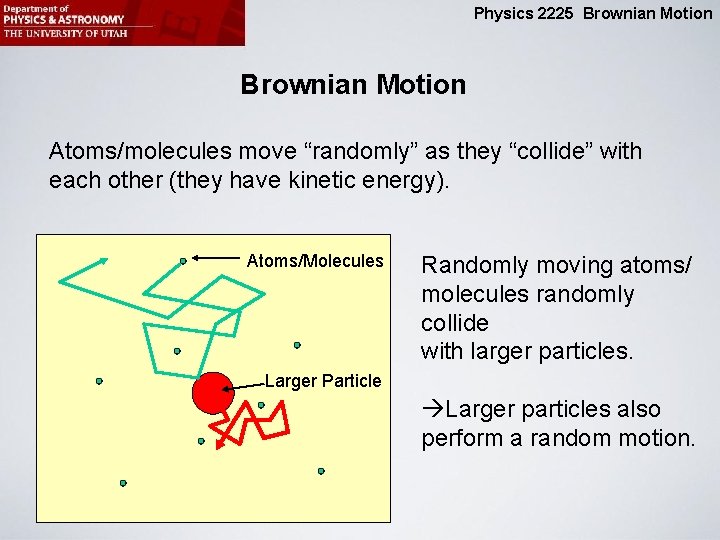Physics 2225 Brownian Motion Atoms/molecules move “randomly” as they “collide” with each other (they
