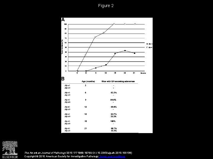 Figure 2 The American Journal of Pathology 2010 1771969 -1976 DOI: (10. 2353/ajpath. 2010.