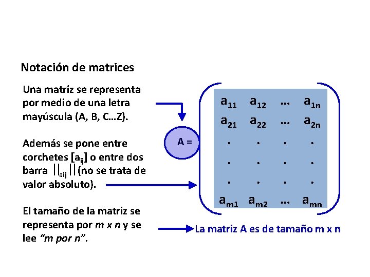 Notación de matrices Una matriz se representa por medio de una letra mayúscula (A,