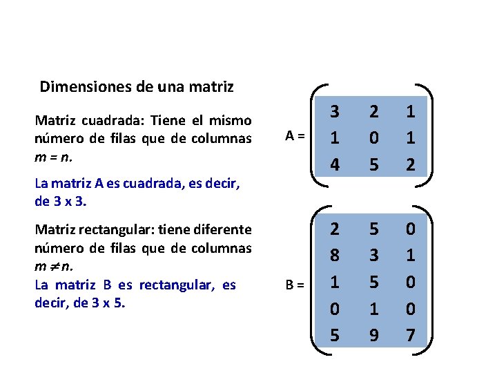 Dimensiones de una matriz Matriz cuadrada: Tiene el mismo número de filas que de