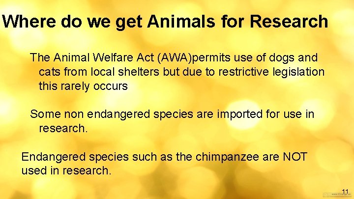 Where do we get Animals for Research The Animal Welfare Act (AWA)permits use of