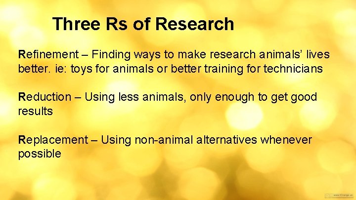 Three Rs of Research Refinement – Finding ways to make research animals’ lives better.