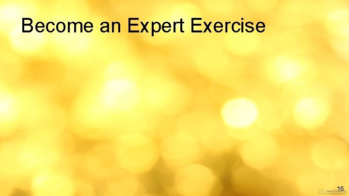 Become an Expert Exercise 16 