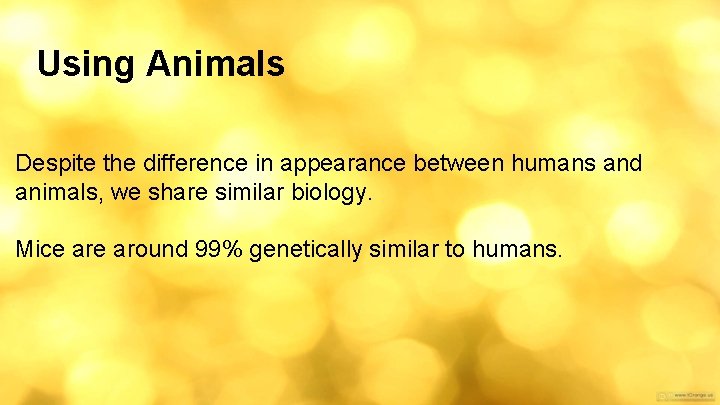 Using Animals Despite the difference in appearance between humans and animals, we share similar