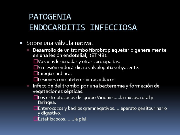 PATOGENIA ENDOCARDITIS INFECCIOSA Sobre una válvula nativa. Desarrollo de un trombo fibrobroplaquetario generalmente en