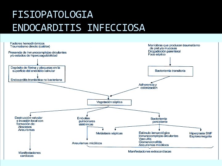 FISIOPATOLOGIA ENDOCARDITIS INFECCIOSA 