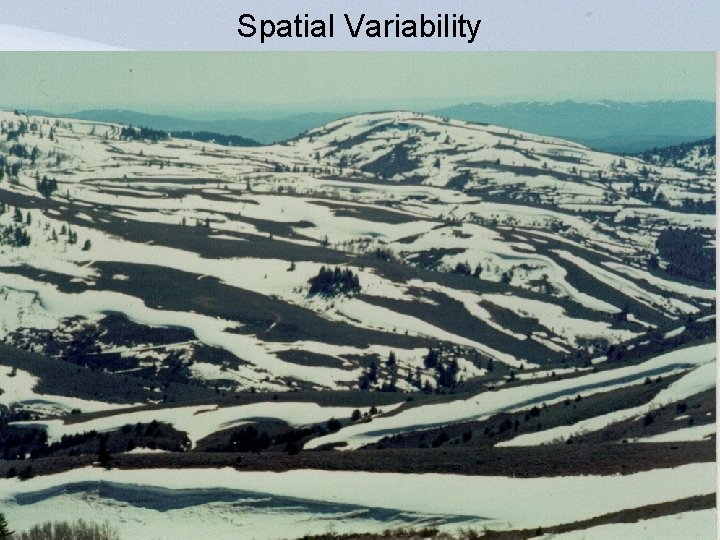 Spatial Variability 