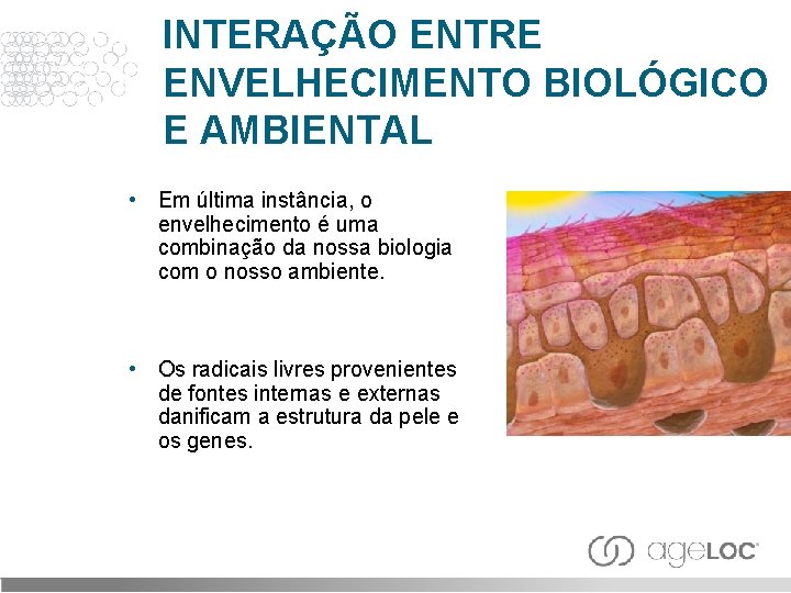 INTERAÇÃO ENTRE ENVELHECIMENTO BIOLÓGICO E AMBIENTAL • Em última instância, o envelhecimento é uma