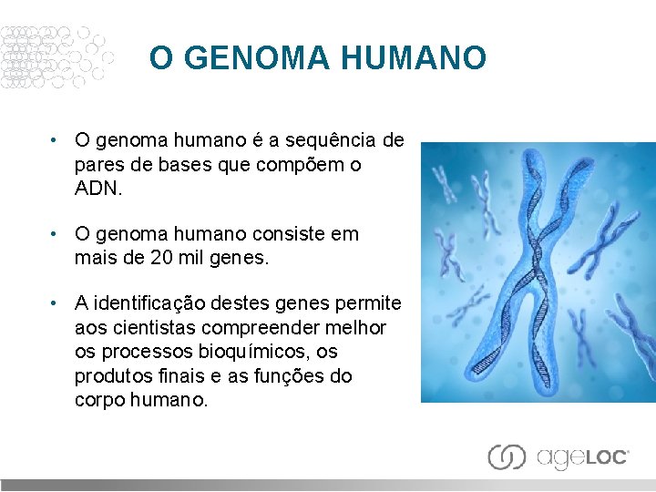 O GENOMA HUMANO • O genoma humano é a sequência de pares de bases