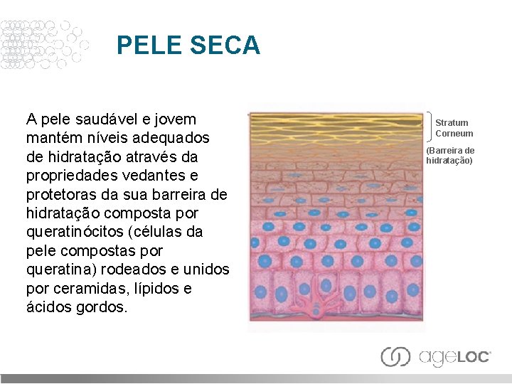 PELE SECA A pele saudável e jovem mantém níveis adequados de hidratação através da