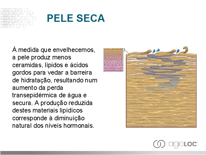 PELE SECA À medida que envelhecemos, a pele produz menos ceramidas, lípidos e ácidos