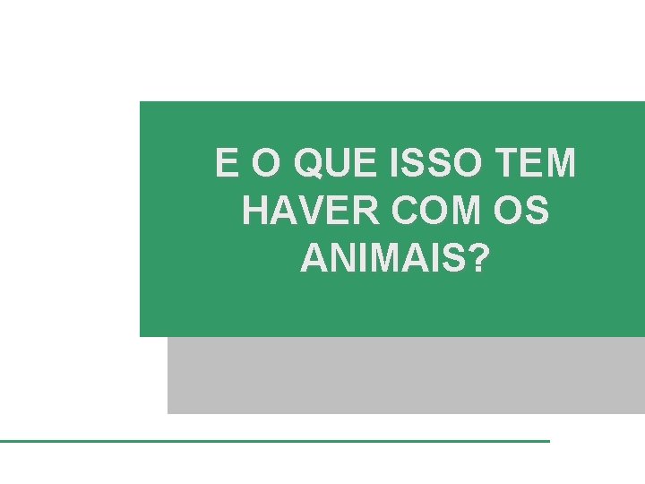 E O QUE ISSO TEM HAVER COM OS ANIMAIS? 