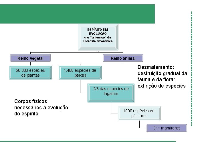 ESPÍRITO EM EVOLUÇÃO (no “universo” da Floresta amazônica Reino vegetal 50. 000 espécies de