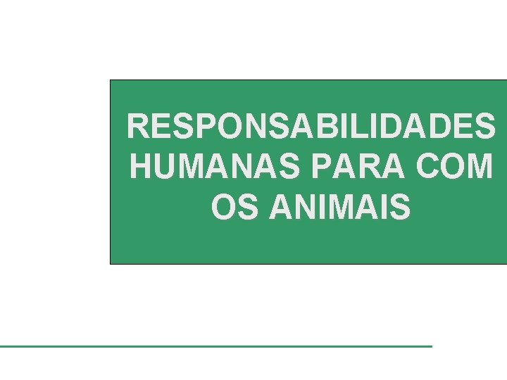 RESPONSABILIDADES HUMANAS PARA COM OS ANIMAIS 