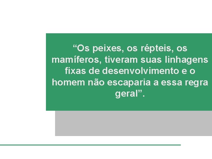 “Os peixes, os répteis, os mamíferos, tiveram suas linhagens fixas de desenvolvimento e o