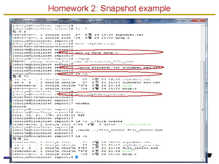 Homework 2: Snapshot example 30 