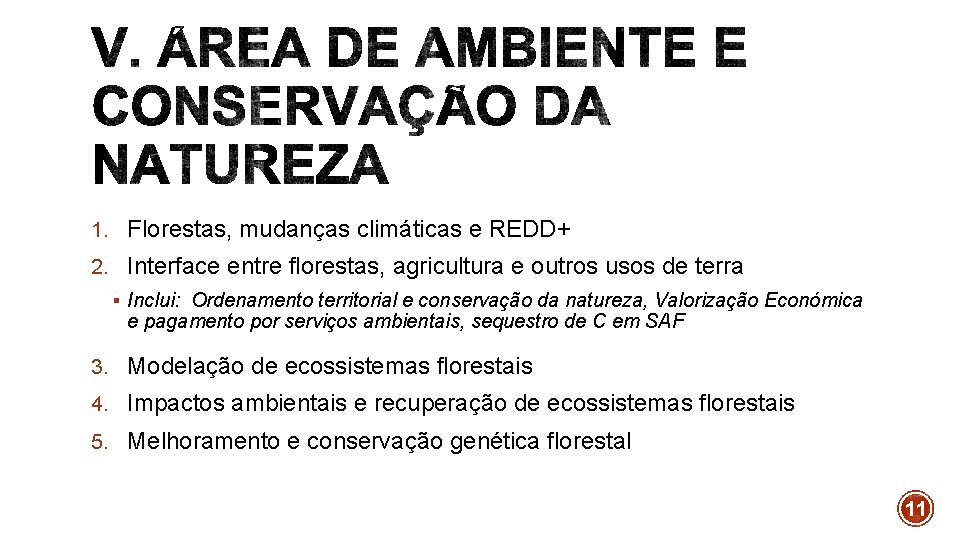 1. Florestas, mudanças climáticas e REDD+ 2. Interface entre florestas, agricultura e outros usos