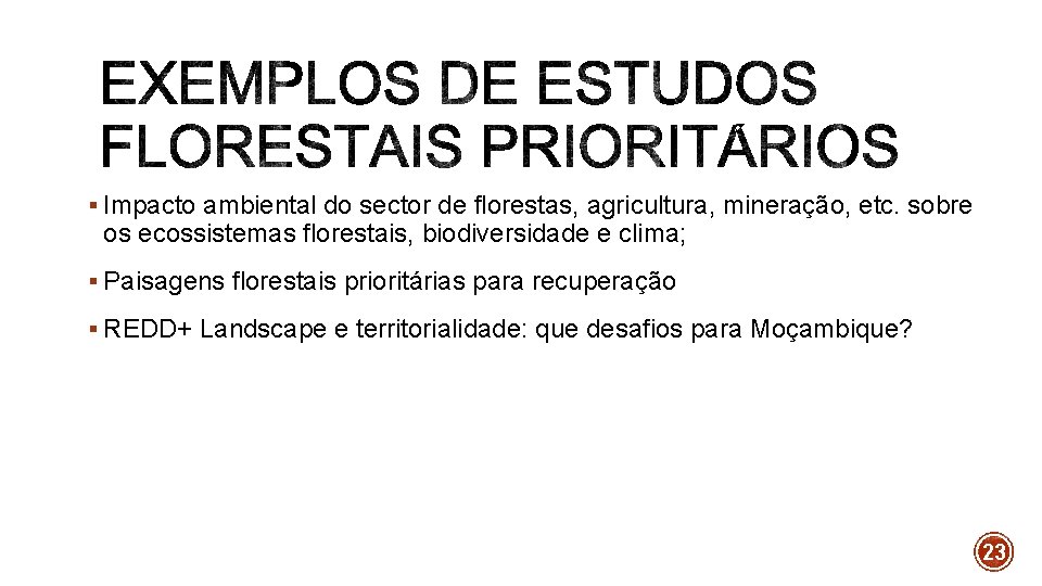 § Impacto ambiental do sector de florestas, agricultura, mineração, etc. sobre os ecossistemas florestais,