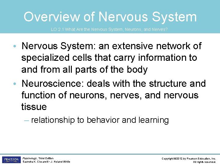 Overview of Nervous System LO 2. 1 What Are the Nervous System, Neurons, and