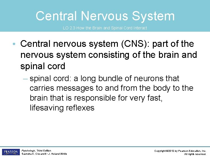 Central Nervous System LO 2. 3 How the Brain and Spinal Cord Interact •