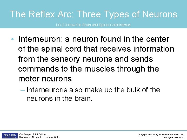 The Reflex Arc: Three Types of Neurons LO 2. 3 How the Brain and