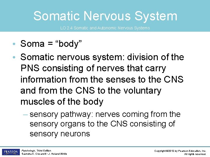 Somatic Nervous System LO 2. 4 Somatic and Autonomic Nervous Systems • Soma =