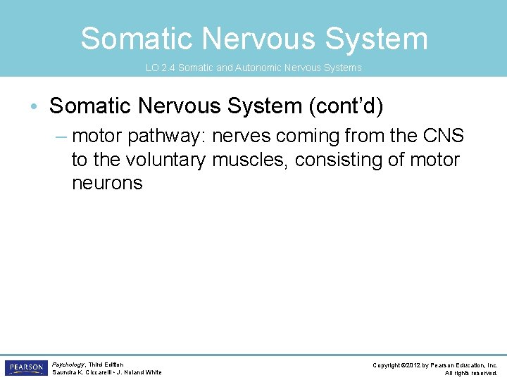 Somatic Nervous System LO 2. 4 Somatic and Autonomic Nervous Systems • Somatic Nervous
