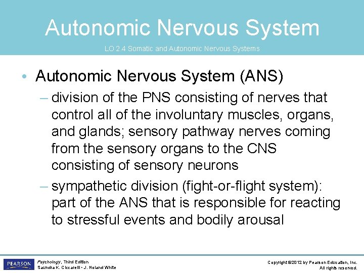 Autonomic Nervous System LO 2. 4 Somatic and Autonomic Nervous Systems • Autonomic Nervous