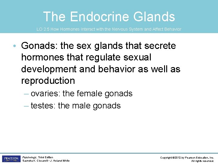 The Endocrine Glands LO 2. 5 How Hormones Interact with the Nervous System and